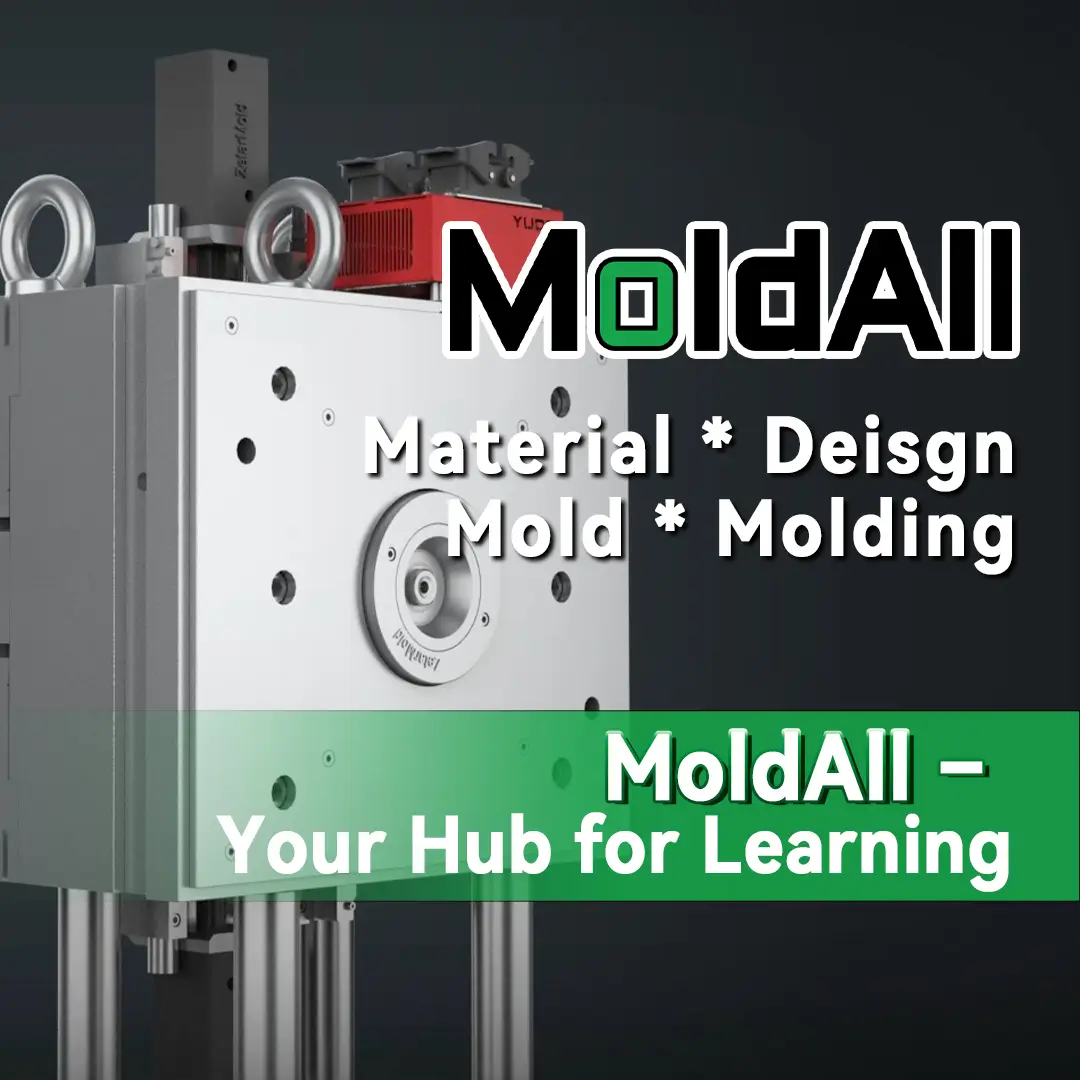 MoldAll – Your Hub for Learning